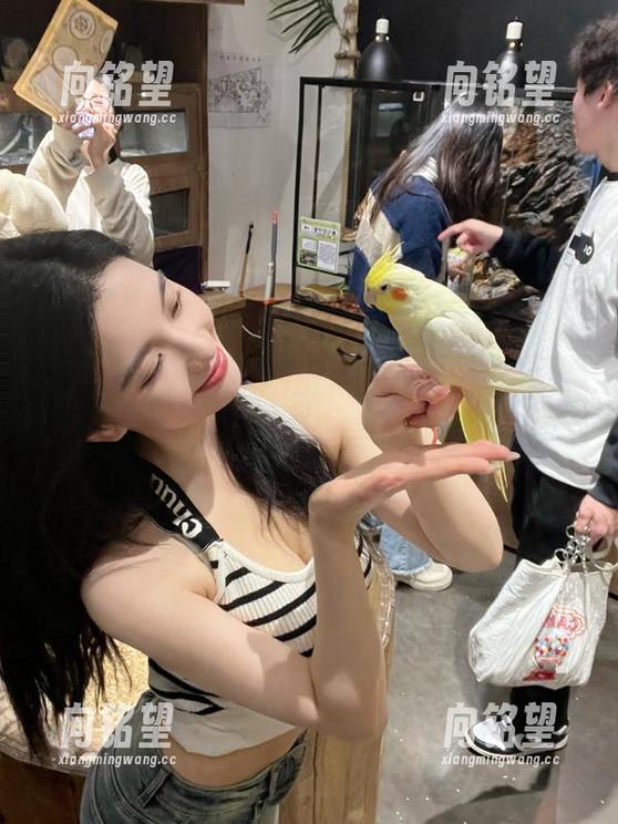 手机155fun黑料官网怎么进操作流程