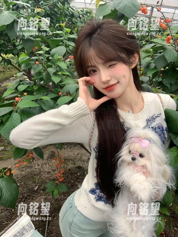 166fun 访问166fun网站,观看最新热门事件的地址和指南