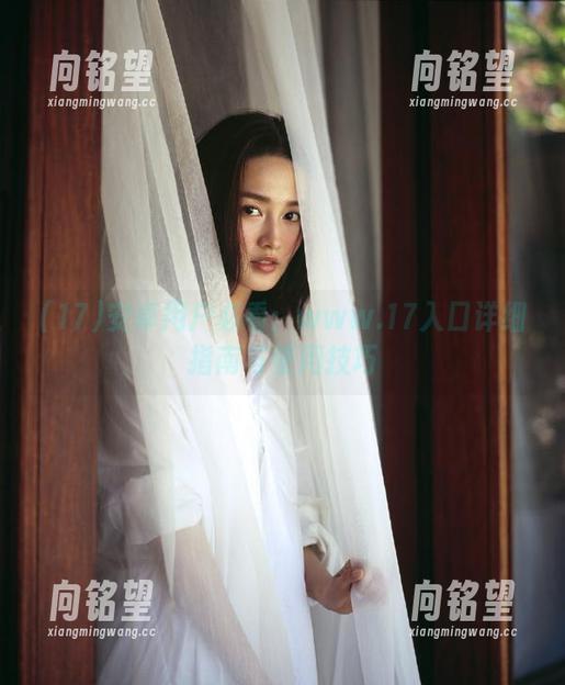 安卓用户必看：www.17入口详细指南与使用技巧