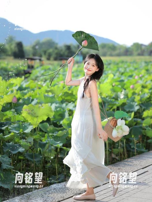 全面了解51吃瓜爆料：iOS用户如何顺利找到入口