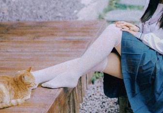 点击“cgw51吃瓜最新消息”入口，网页即刻带你体验最新动态！