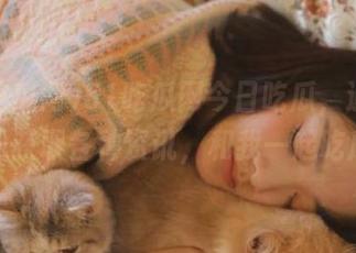 51吃瓜网今日吃瓜，通过导航轻松获取各种资讯，和我一起吃瓜吧！