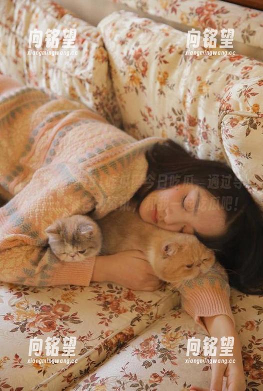 51吃瓜网今日吃瓜，通过导航轻松获取各种资讯，和我一起吃瓜吧！