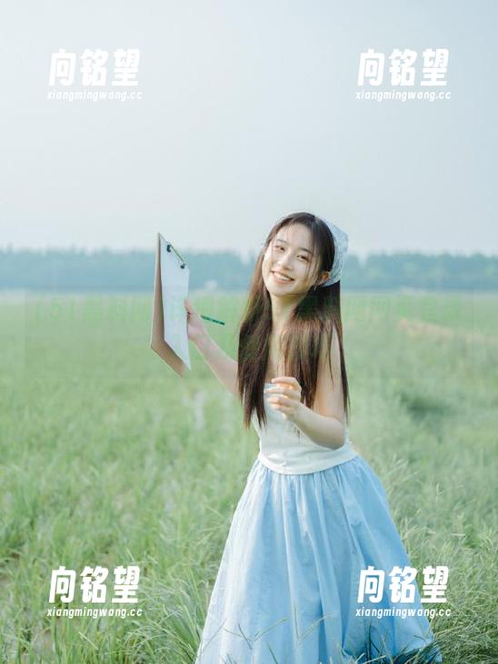 详细解析51黑料网网页登录入口及使用技巧