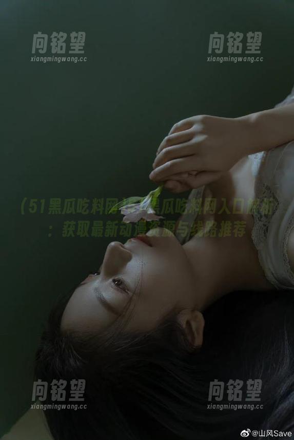51黑瓜吃料网入口解析：获取最新动漫资源与线路推荐
