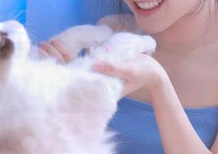 解锁5i吃瓜网的新功能，在线读懂最新吃瓜动态！