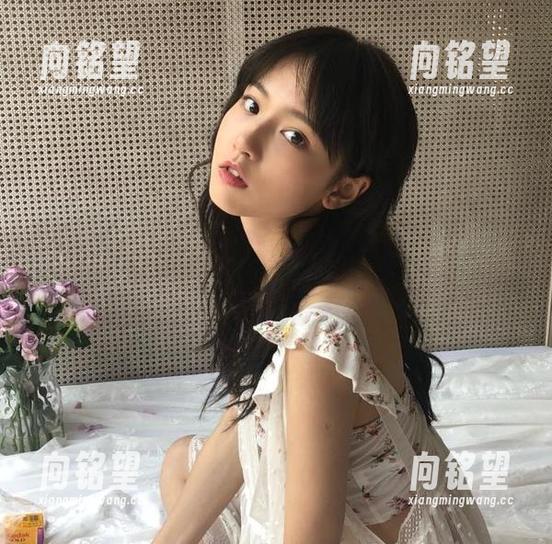 花样吃瓜不迷路，安卓手机用户尽在zztt333平台，畅享娱乐盛宴！