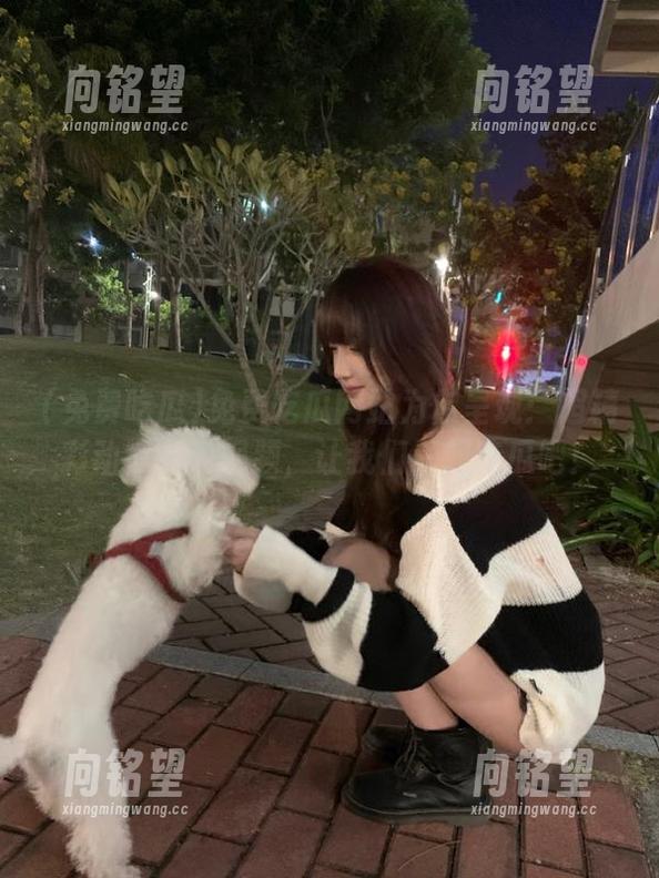 免费吃瓜网站为你呈现：超精彩动漫游戏视频，让我们一起吃瓜吧！