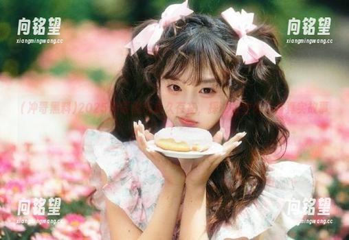 2025冲哥黑料永久存在，探讨行业内幕与真实故事！