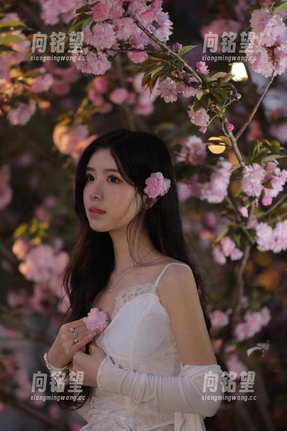 在“吃瓜天堂”登录，永不迷路，和我一起吃瓜，乐享生活！
