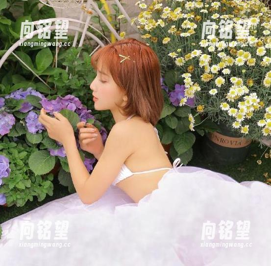 黑料51登录步骤详解，助你轻松获取八卦黑料