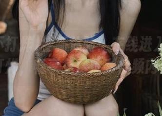 全新体验：在线进入黑料不打烊，畅享免费精彩视频内容