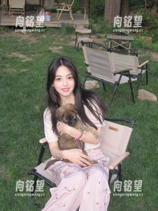 探秘黑料社app，网址直达让你快速掌握吃瓜动态