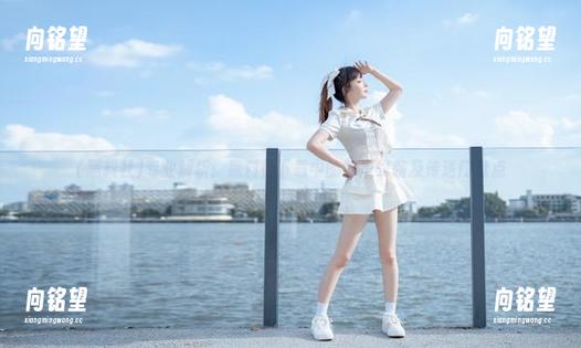 专业解析：黑料社下载中的吃瓜线路及传送门盘点