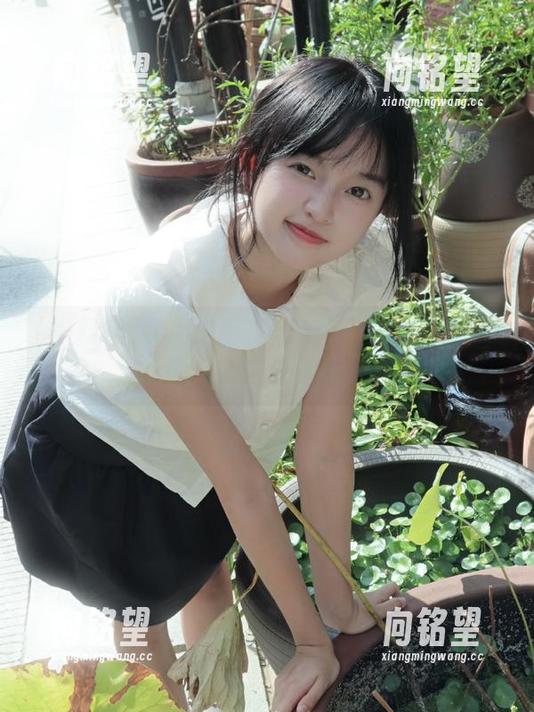 实用指南：黑料社下载近期发布内容如何快速收藏