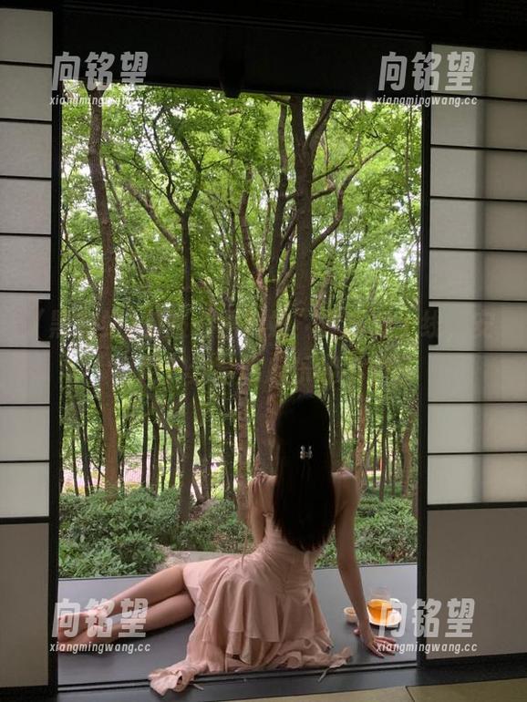 新服“黑料站”传送门上线，安卓用户分享吃瓜乐趣不停歇