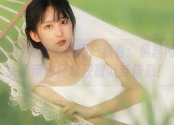 安卓手机用户必看：黑料网今日头条带你轻松获取八卦信息！