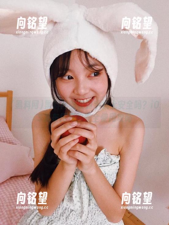 黑料网安装到手机上安全吗？iOS发布用户的安全使用攻略