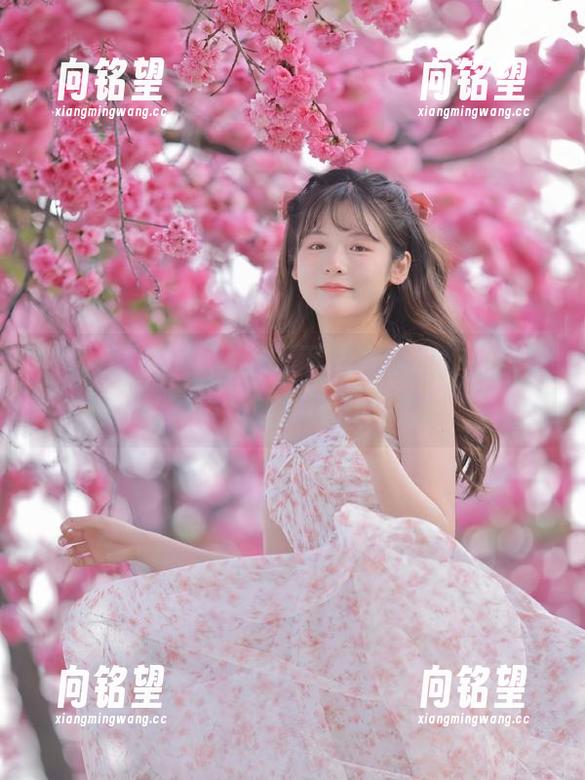 黑料网app下载攻略出炉，获取最新链接畅游吃瓜世界！