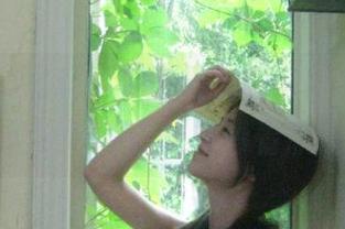 黑料网今日推出的网页，上线海量资源助你轻松看看热点