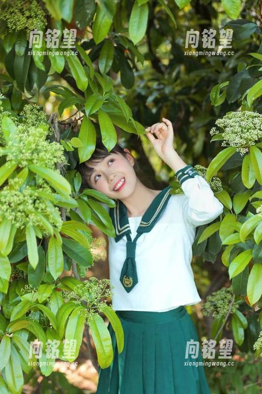 黑料网不打烊，带你发布欢乐时刻，正能量伴随每一天！