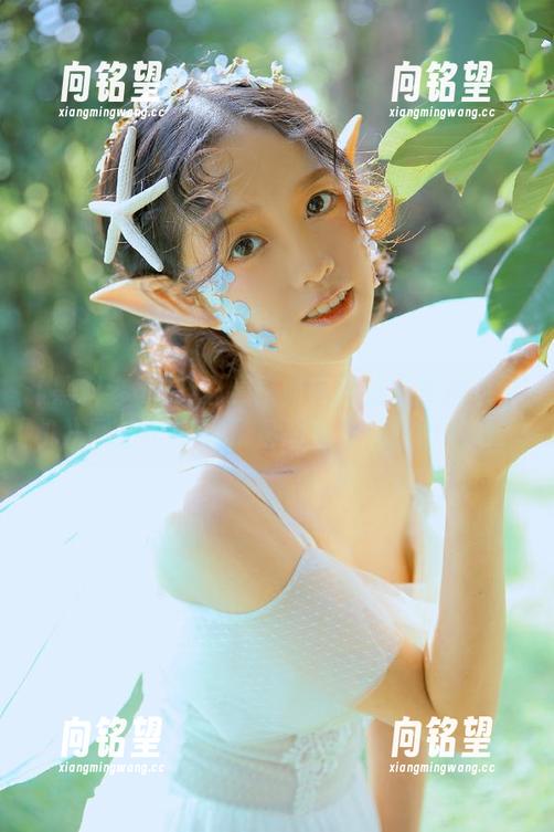 必看！如何通过《黑料老司机》网站和APP了解明星黑料四面八方？